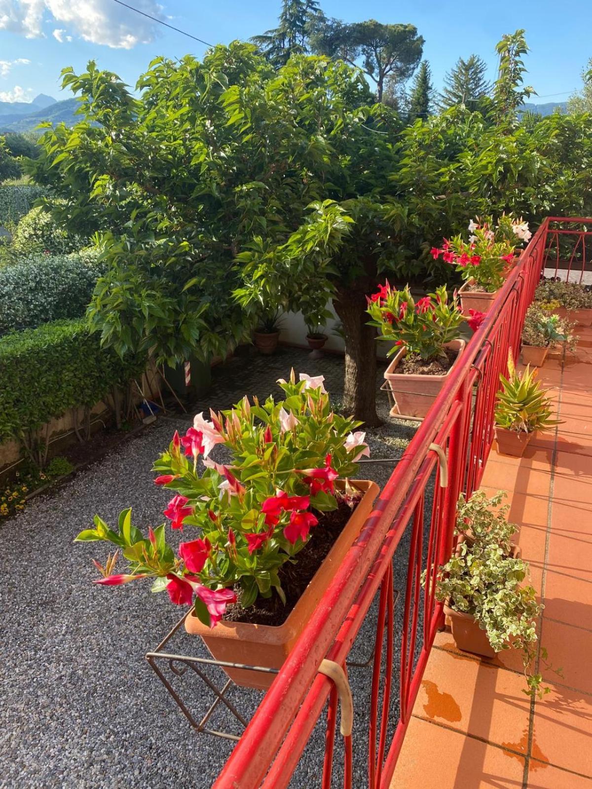 Villa Casa Mary Lucca Exterior foto