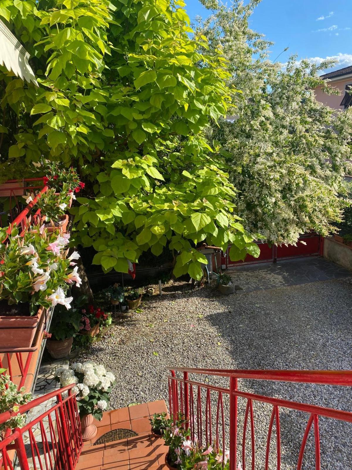 Villa Casa Mary Lucca Exterior foto